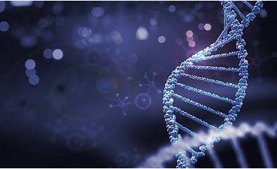 高分子材料失效分析